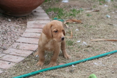 First outing - 9